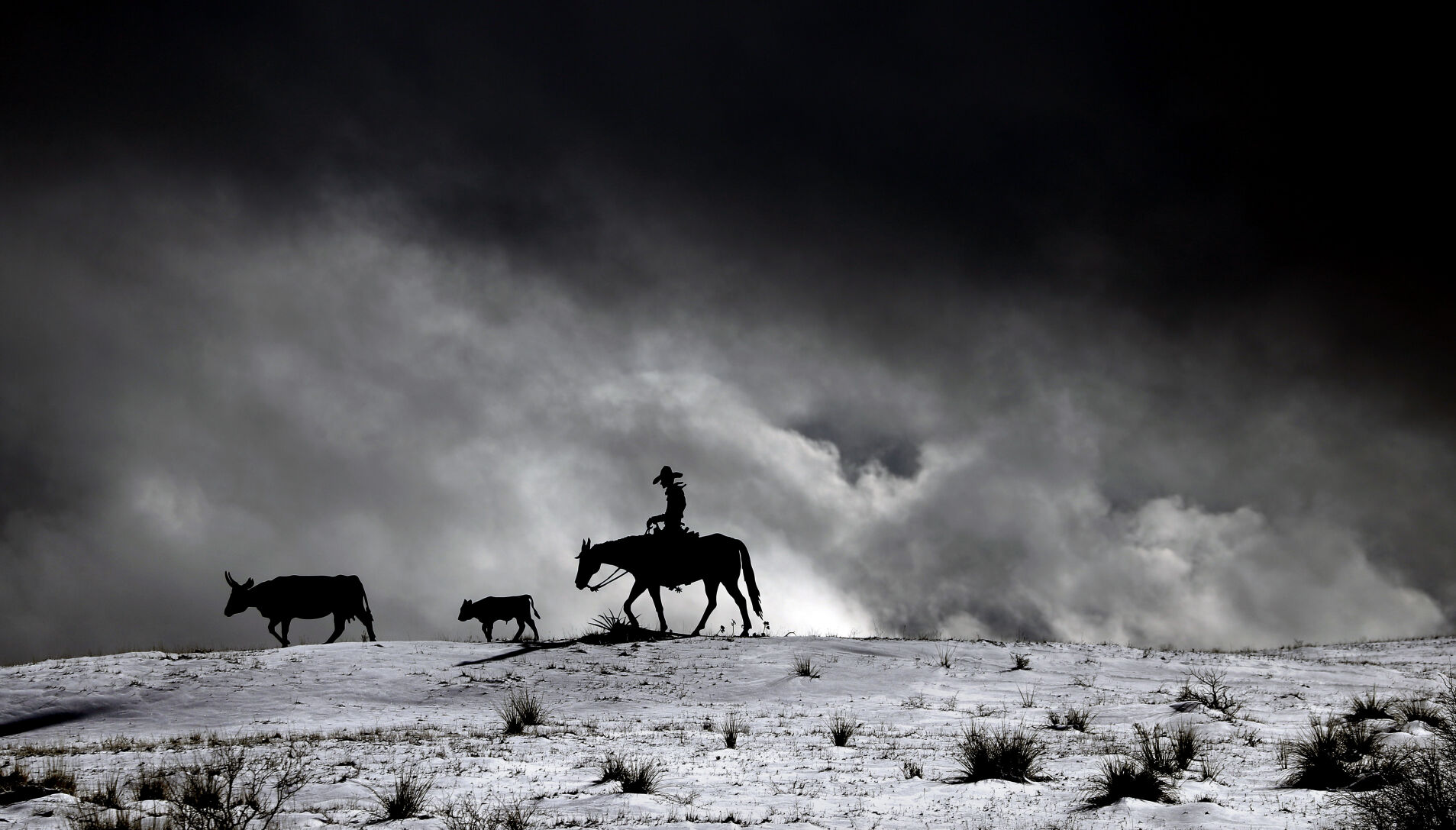 Snow
